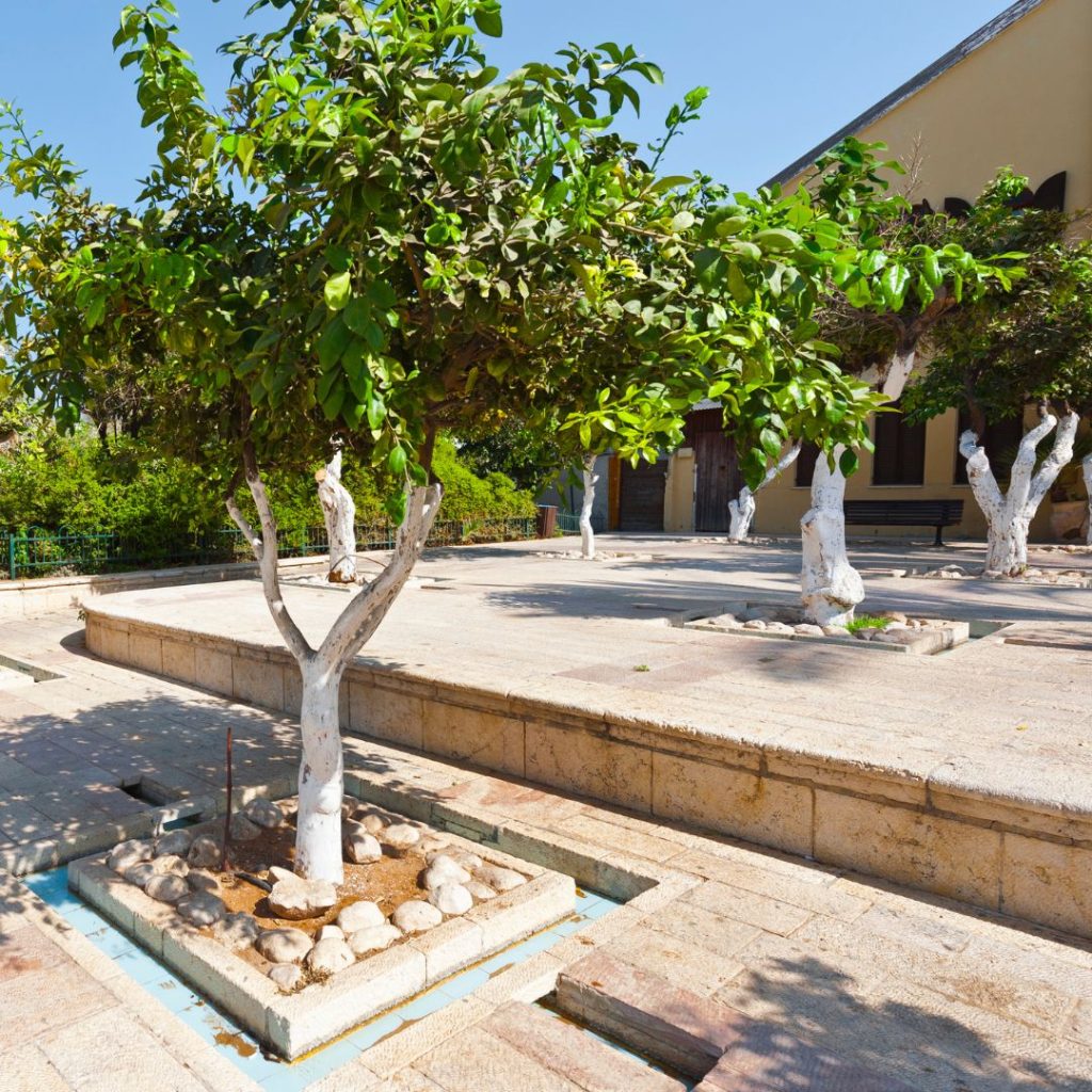 Patios