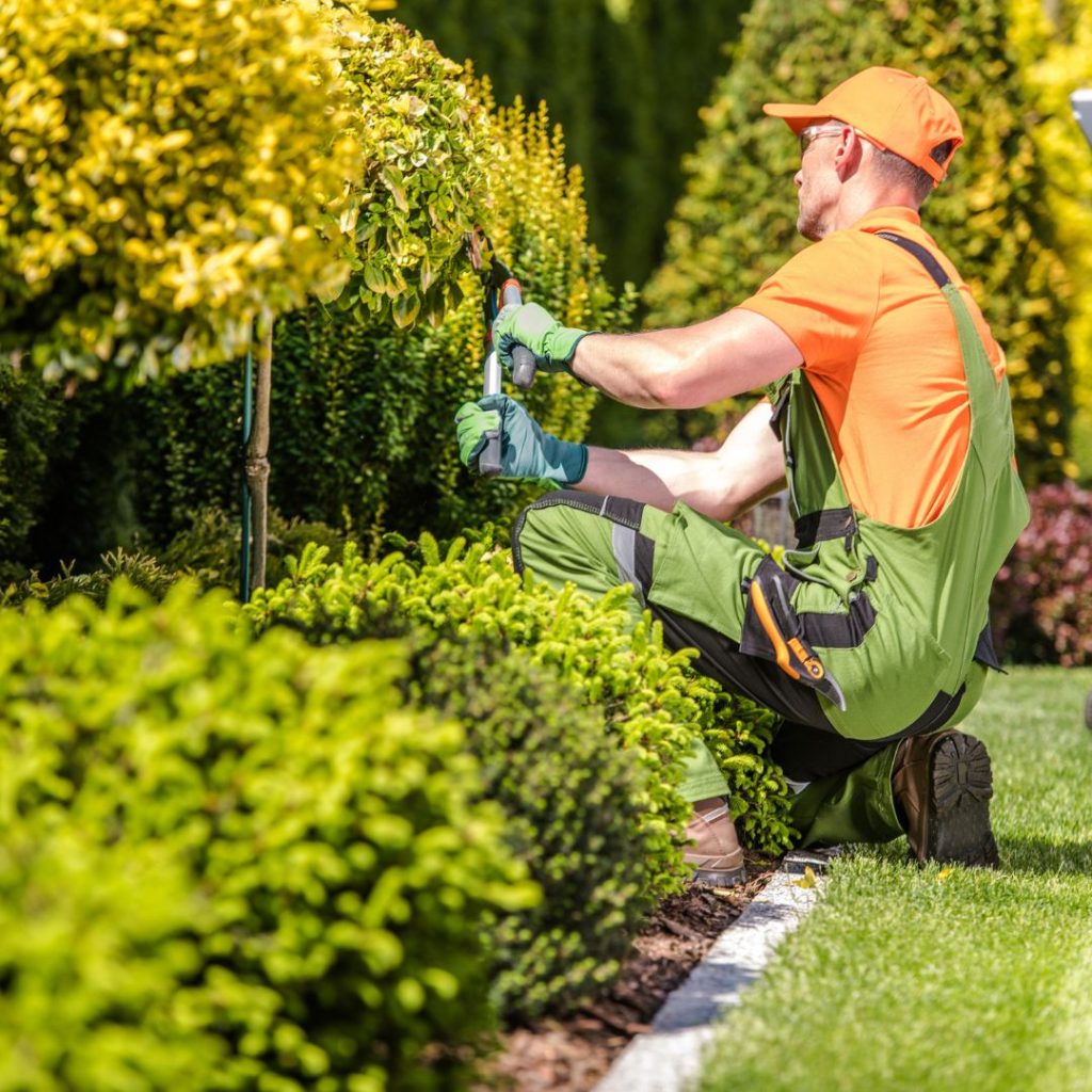 Landscaping