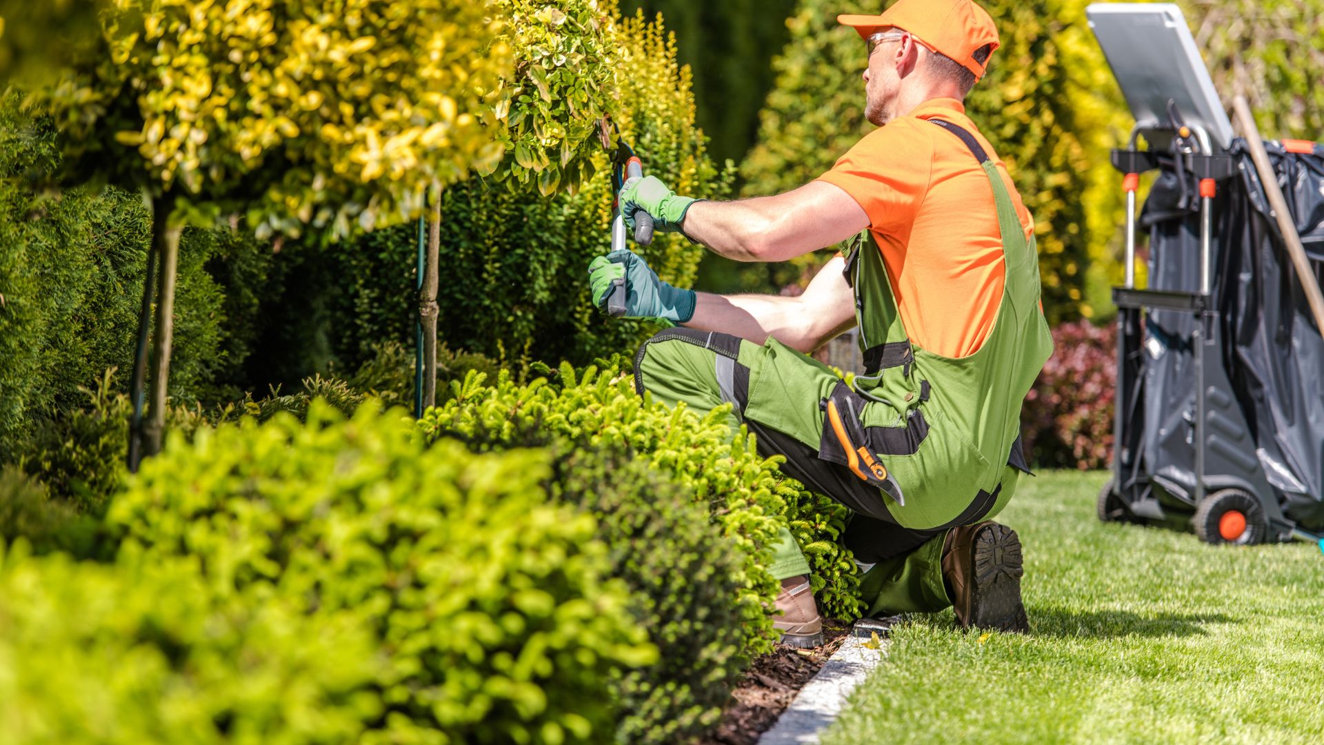 landscaping